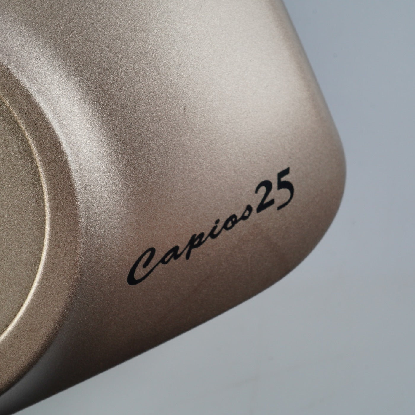 MINOLTA Capios 25 コンパクトフィルムカメラ