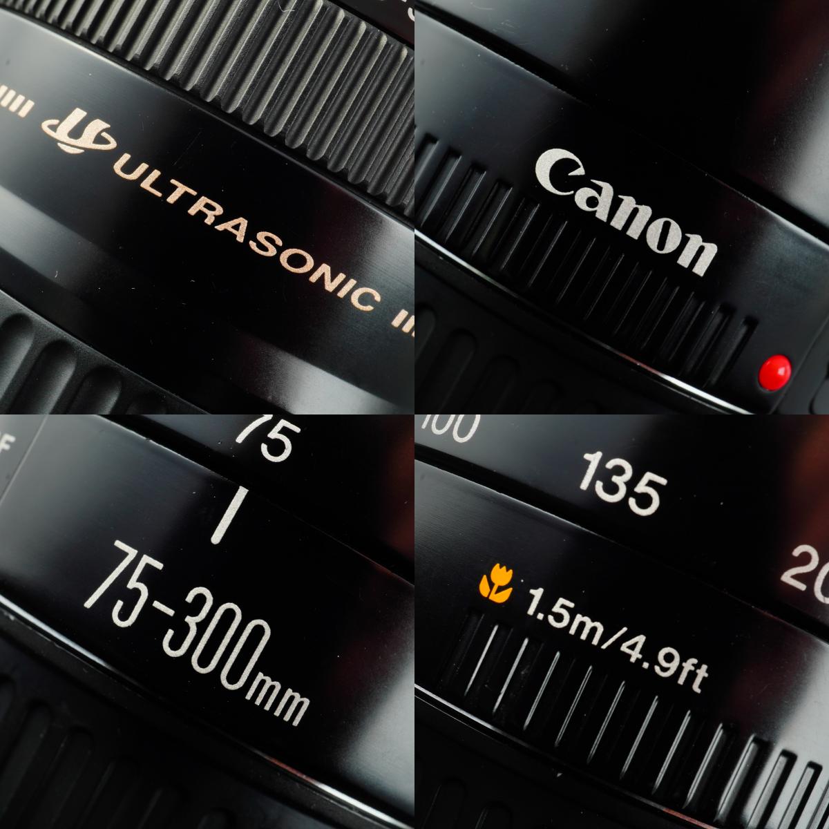 Canon EF 75-300mm F/4-5.6 USM ズームレンズ