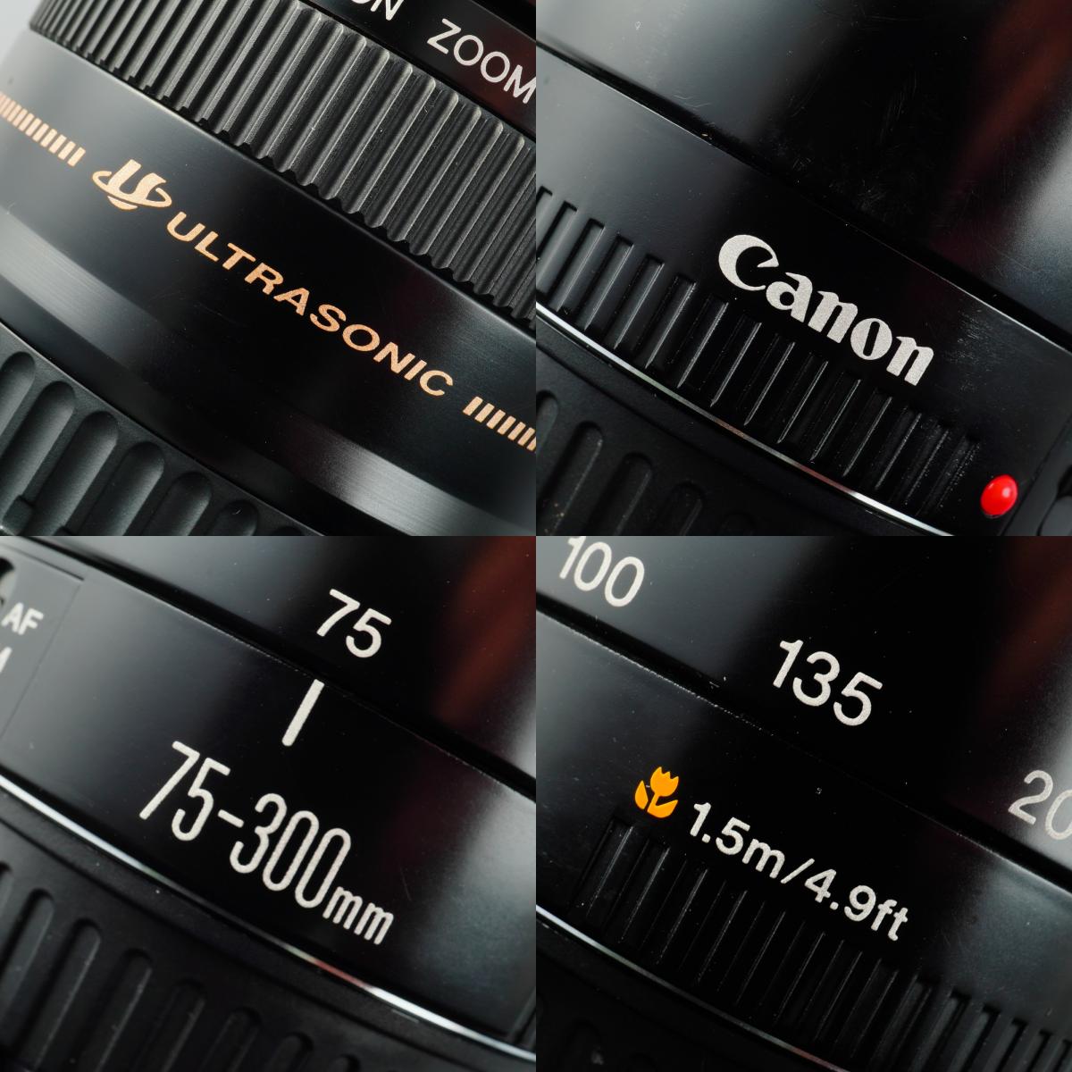Canon EF 75-300mm F/4-5.6 USM ズームレンズ