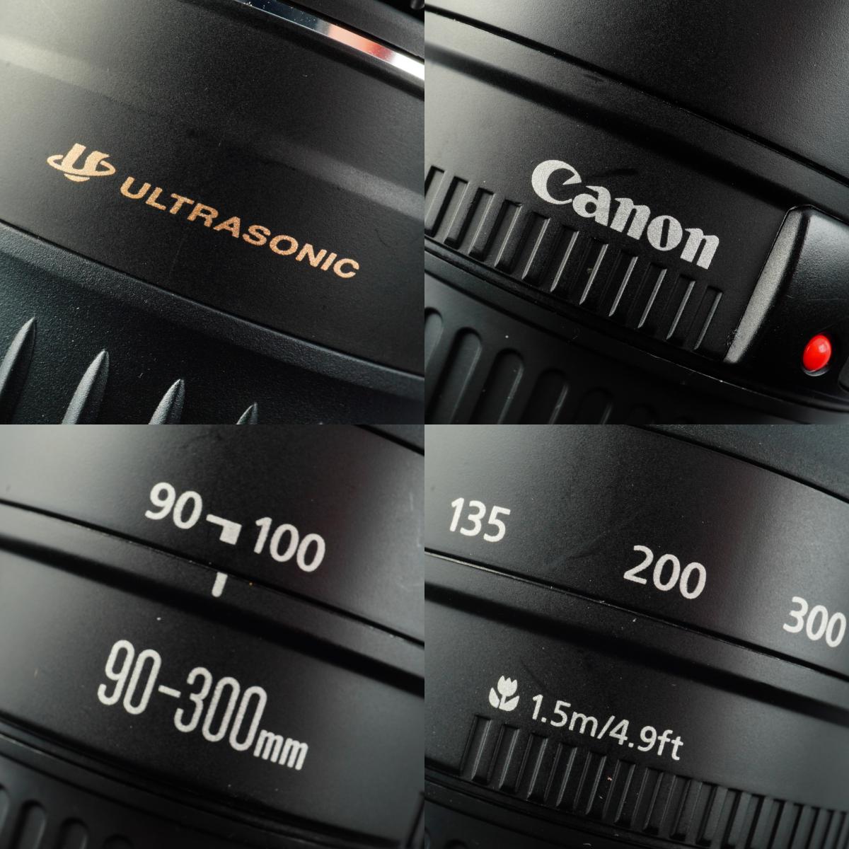 Canon EF 90-300mm F/4.5-5.6 USM ズームレンズ