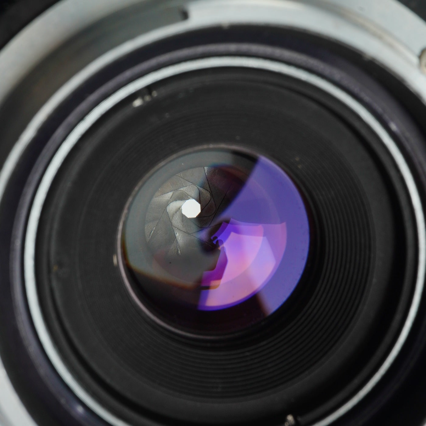 Nikon Macro-NIKKOR 65mm F/4.5 HL-5X + Nikon F Mount Adapter マクロレンズ