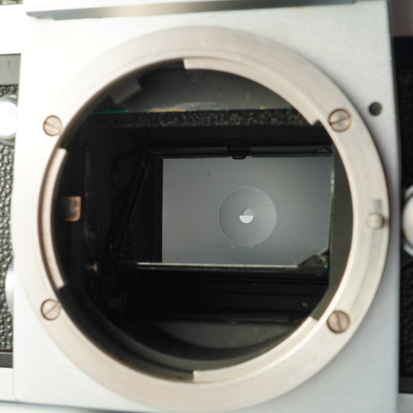 【Serviced】 Nikon F Eyelevel Early Model Silver + NIKKOR 50mm F/1.4 MF フィルム一眼レフカメラ