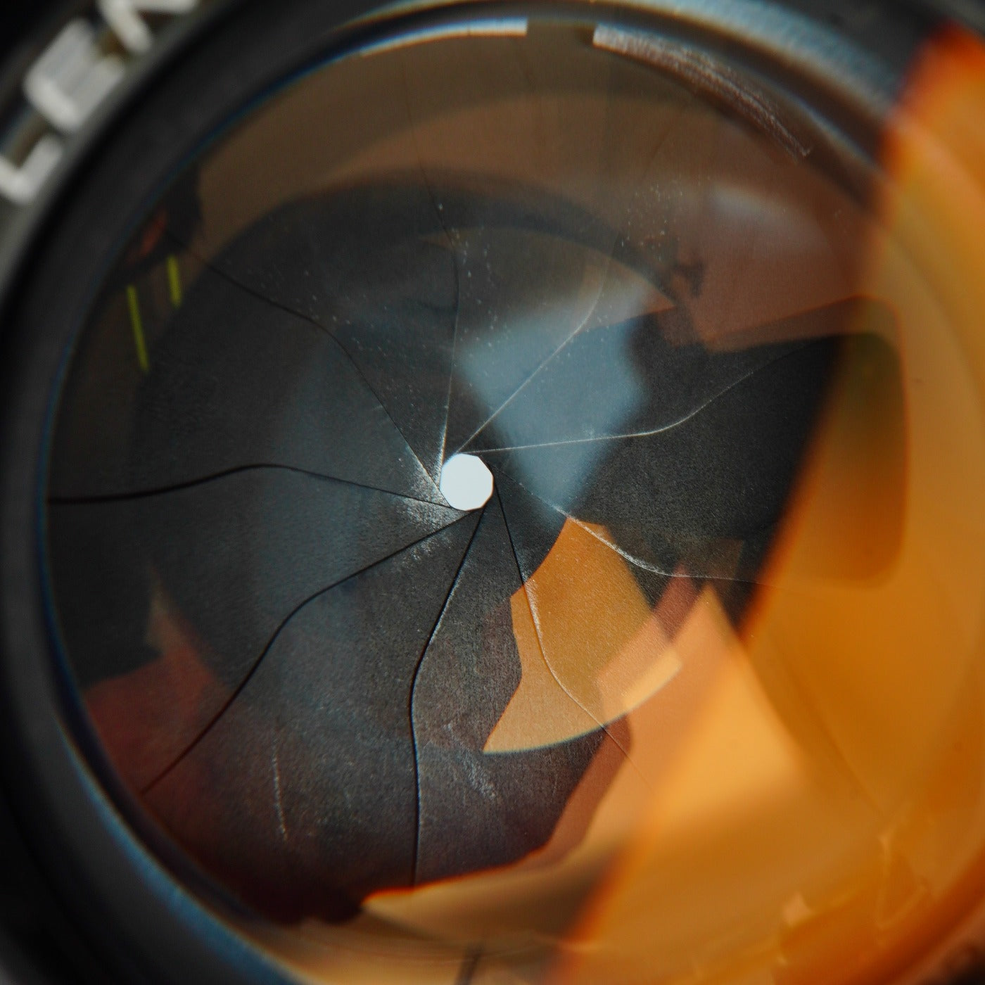 Canon 50mm F/1.4 単焦点レンズ