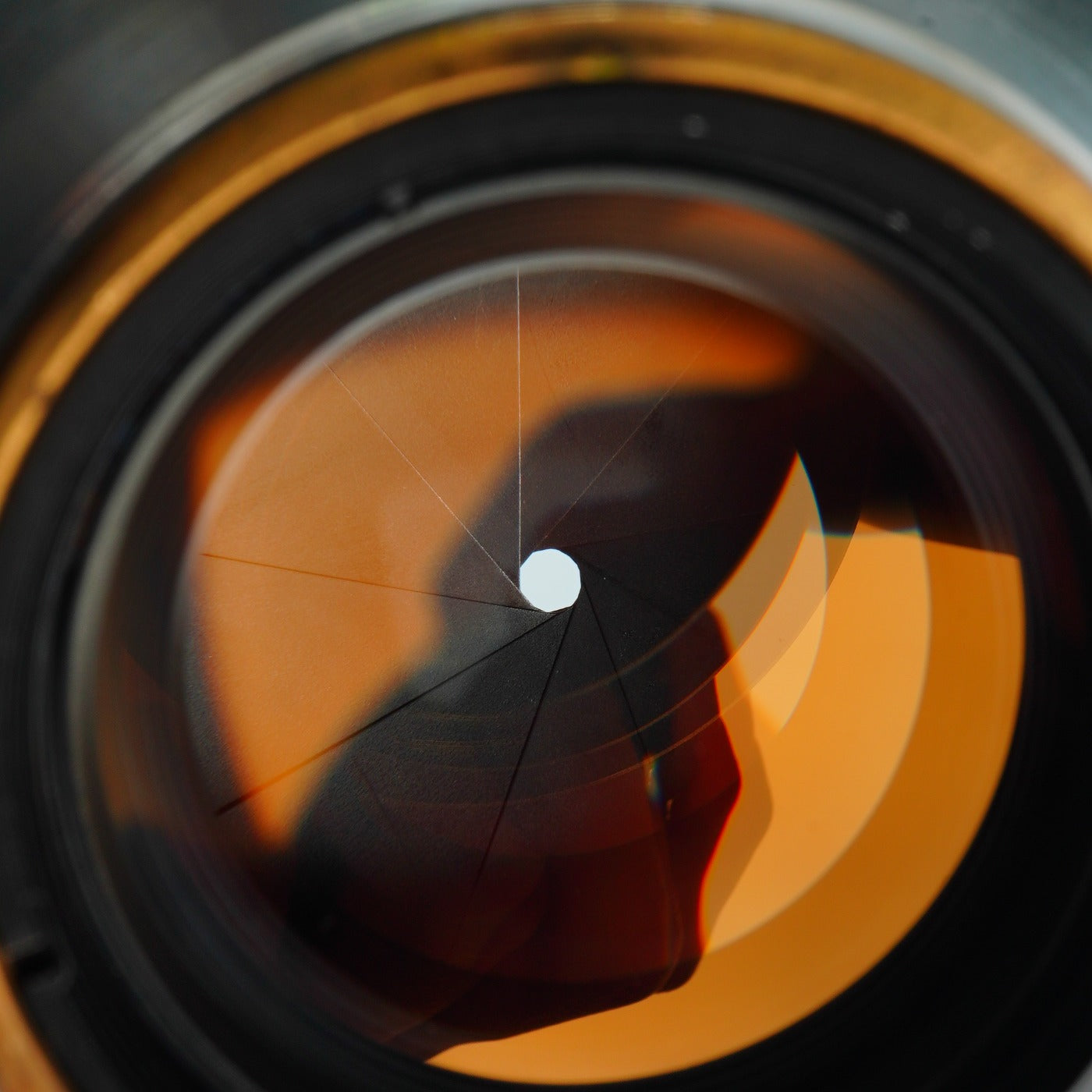 Canon 50mm F/1.4 単焦点レンズ