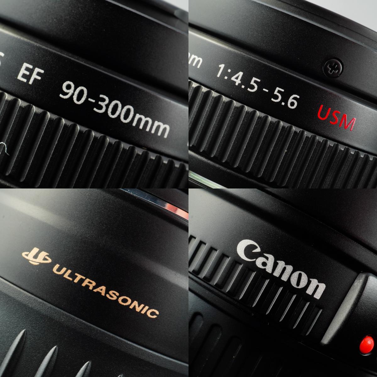 Canon EF 90-300mm F/4.5-5.6 USM Zoomobjektiv