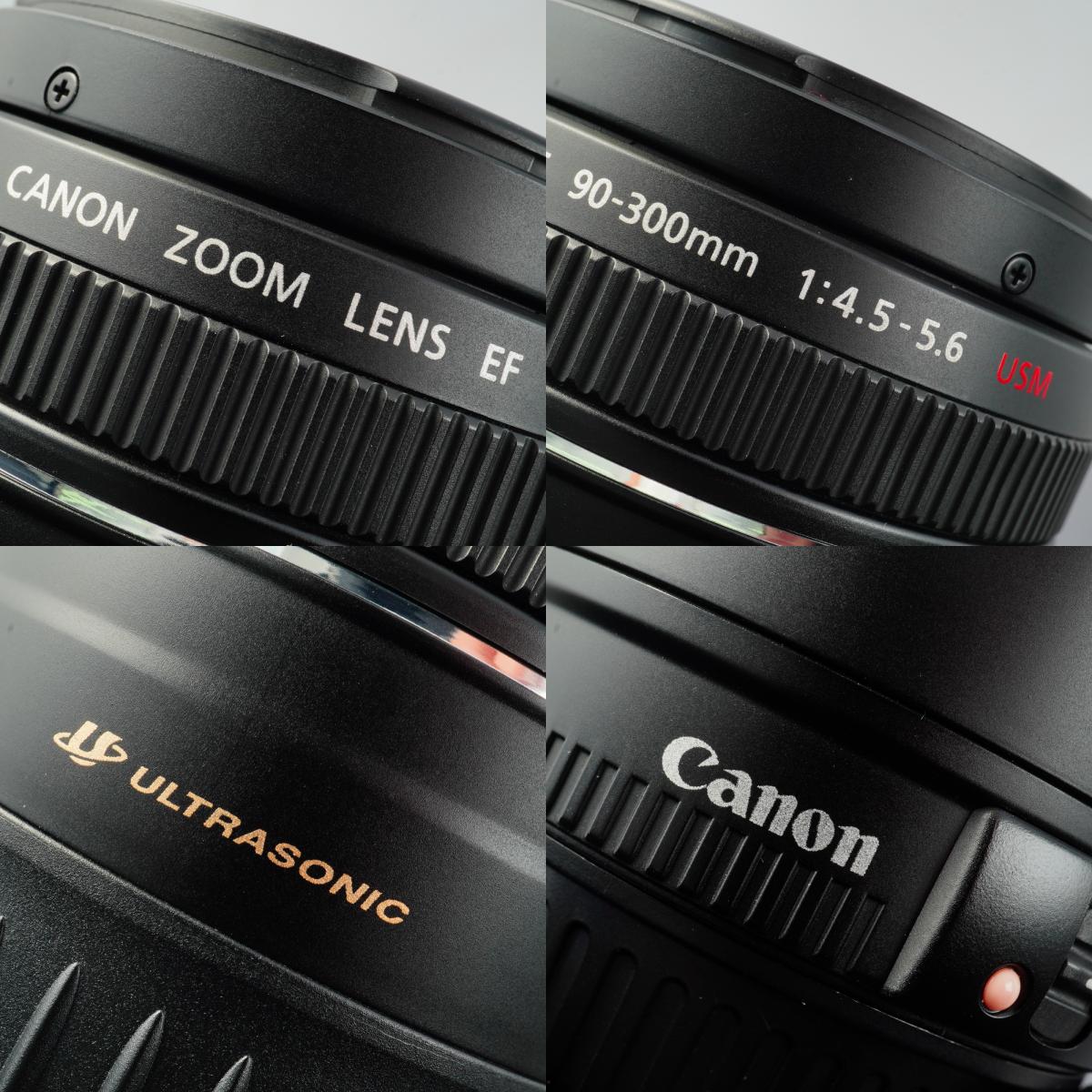 Canon EF 90-300mm F/4.5-5.6 USM ズームレンズ
