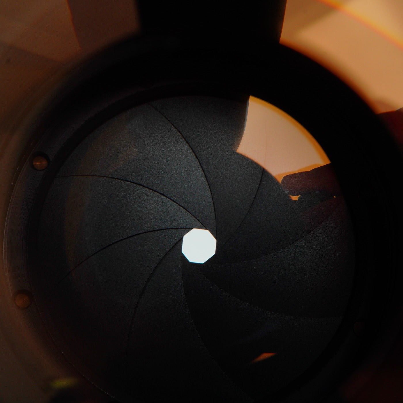 Canon FD 135mm F/2.5 SC Festbrennweitenobjektiv