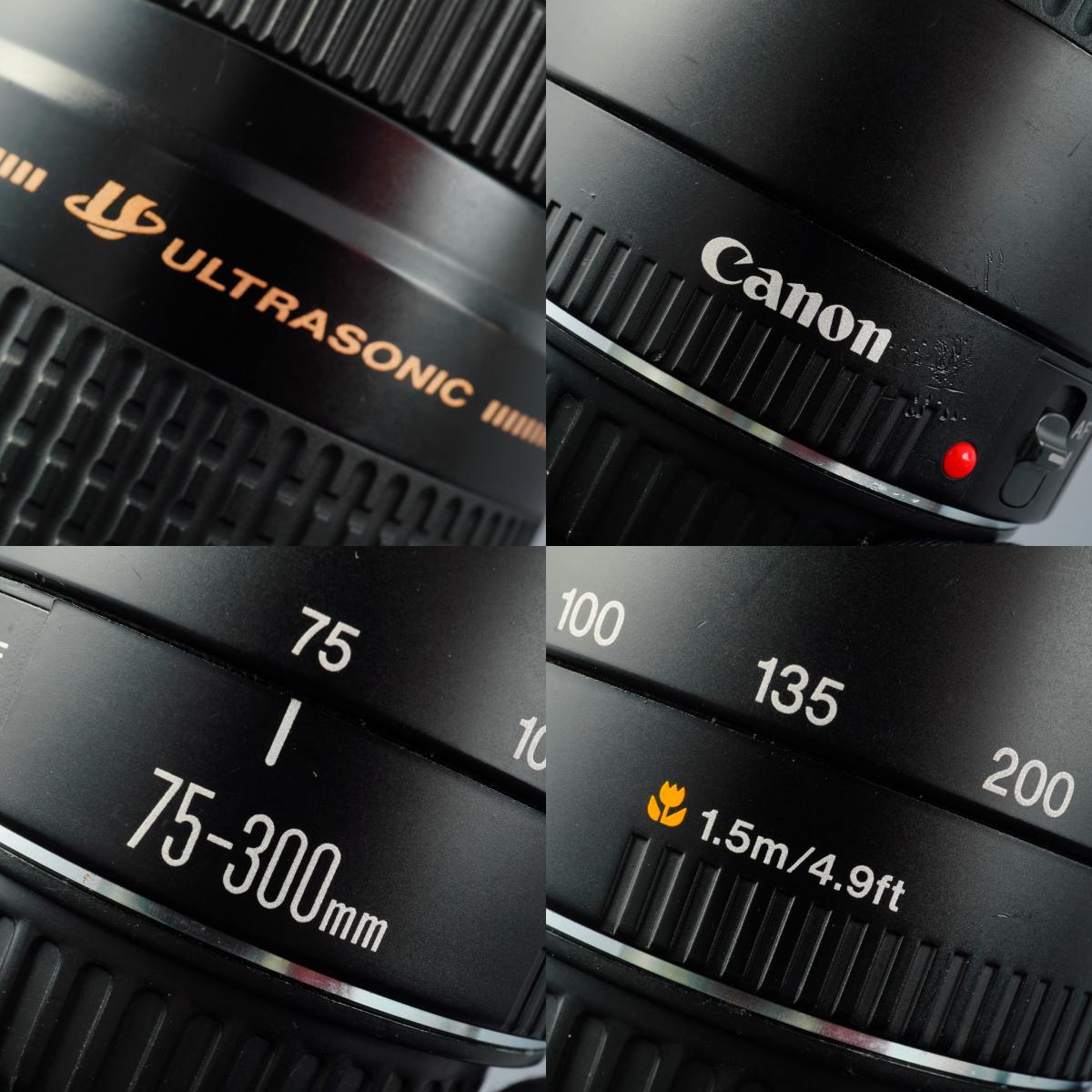 Canon EF 75-300mm F/4-5.6 II USM Zoomobjektiv