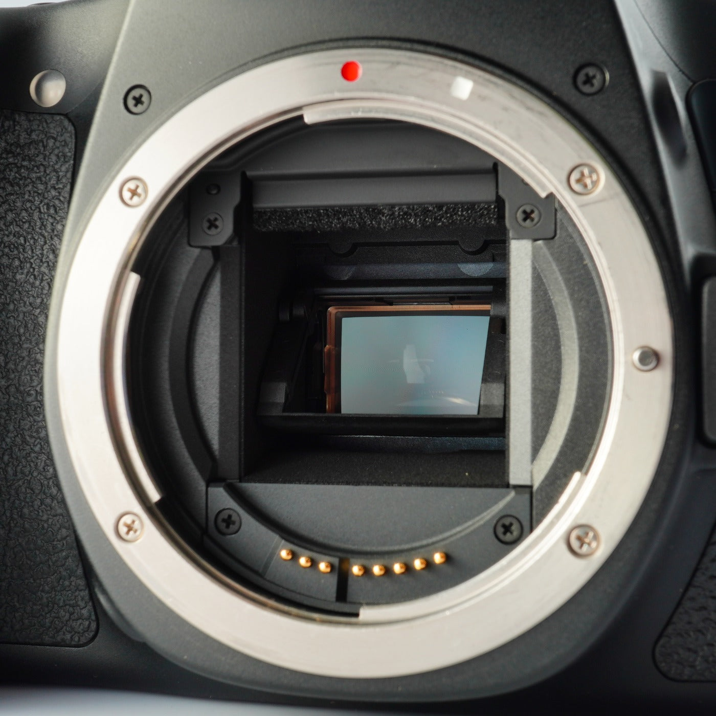 Canon 70D + SD 4GB デジタル一眼レフカメラ