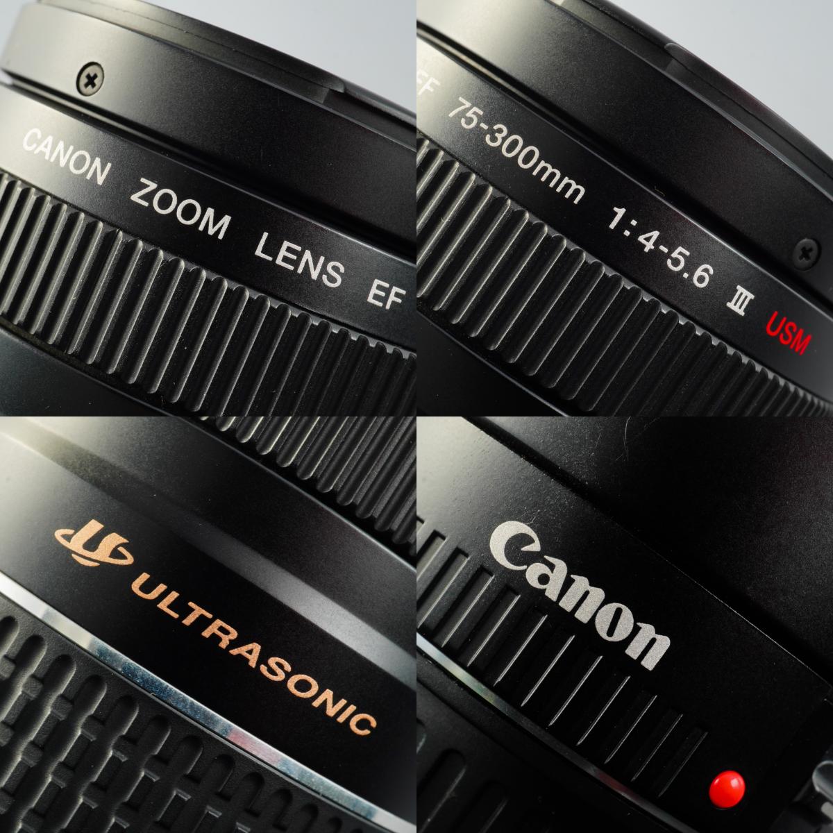 Canon EF 75-300mm F/4-5.6 III USM Zoomobjektiv