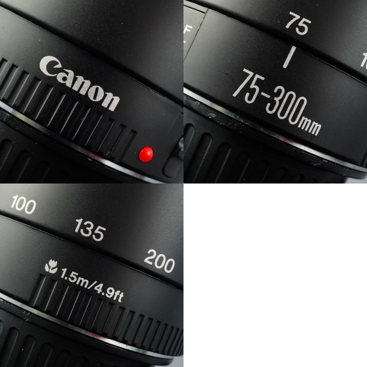 Canon EF 75-300mm F/4-5.6 III Zoomobjektiv