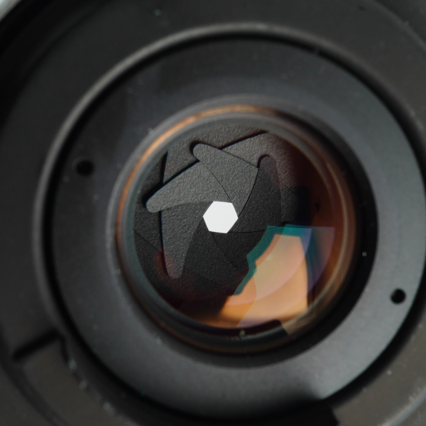 OLYMPUS OM-SYSTEM ZUIKO AUTO-MACRO 50mm F/3.5 単焦点レンズ