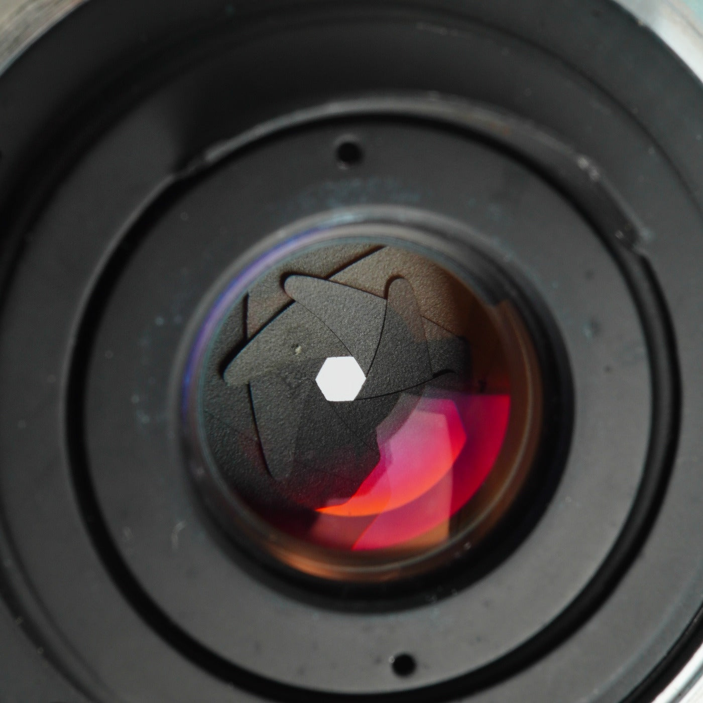 OLYMPUS OM-SYSTEM ZUIKO AUTO-MACRO 50mm F/3.5 単焦点レンズ