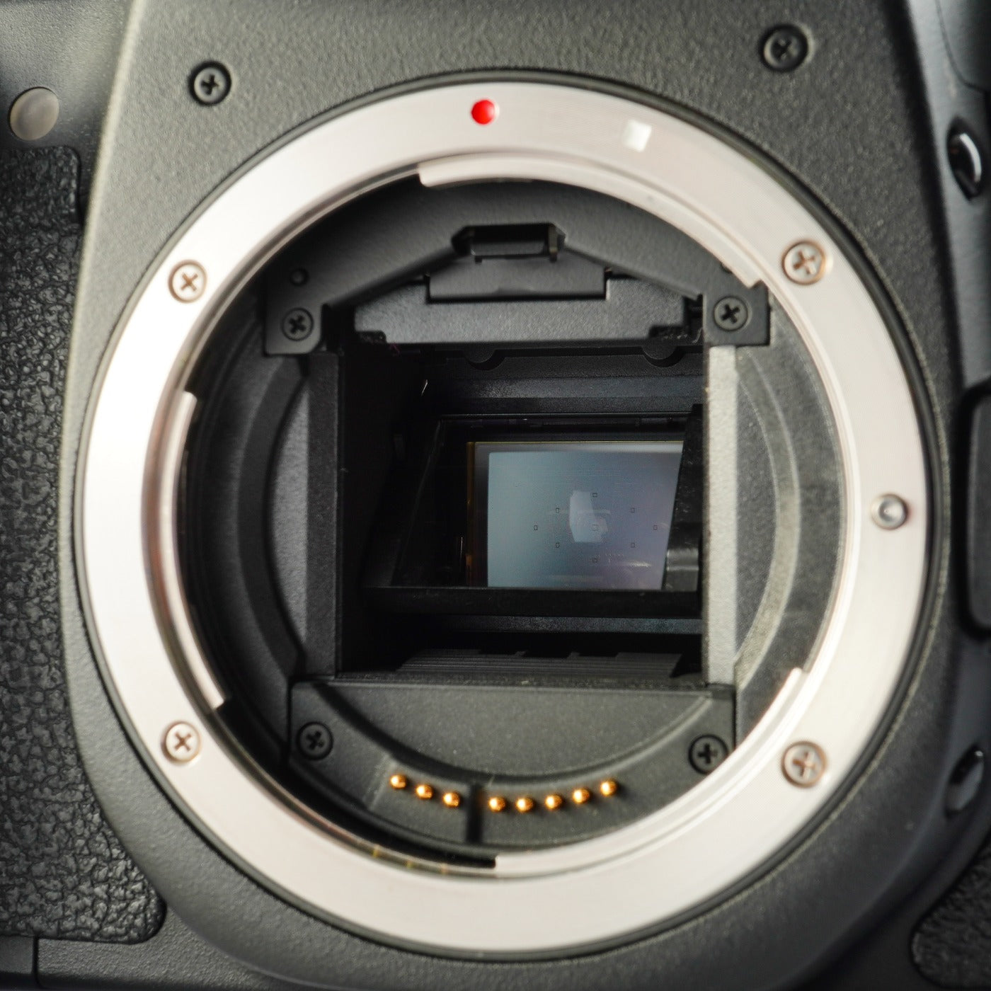 Canon EOS 50D + EF-S 18-55mm F/3.5-5.6 IS Ⅱ + CF 2GB デジタル一眼レフカメラ