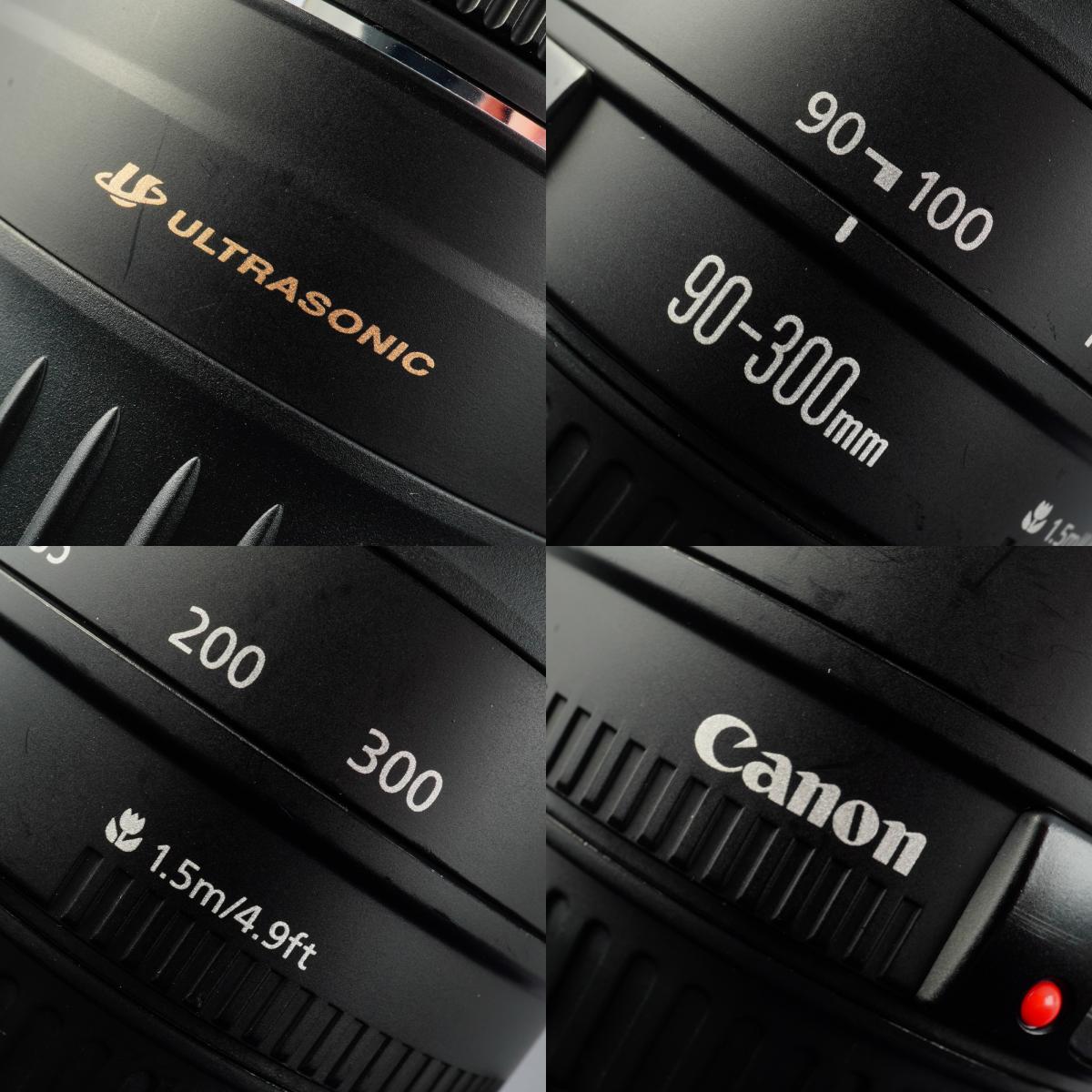 Canon EF 90-300mm F/4.5-5.6 USM ズームレンズ