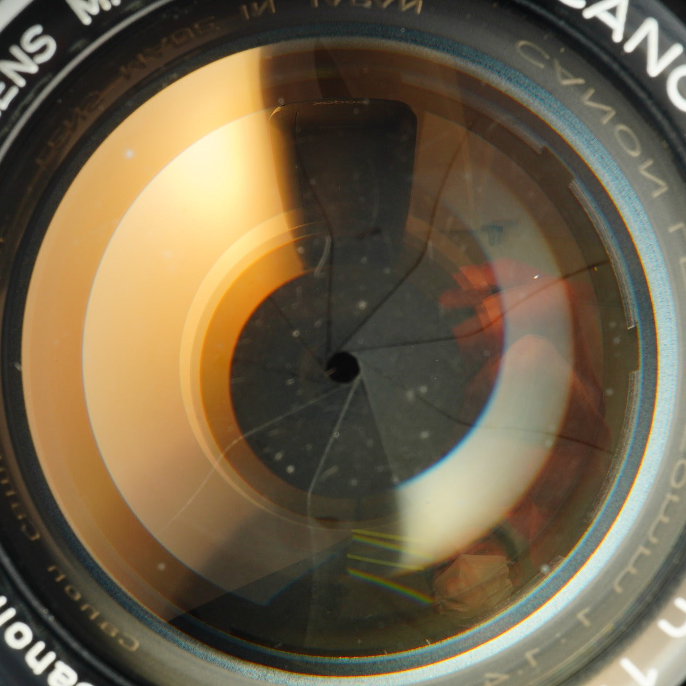 Canon 50mm F/1.4 LTM 単焦点レンズ