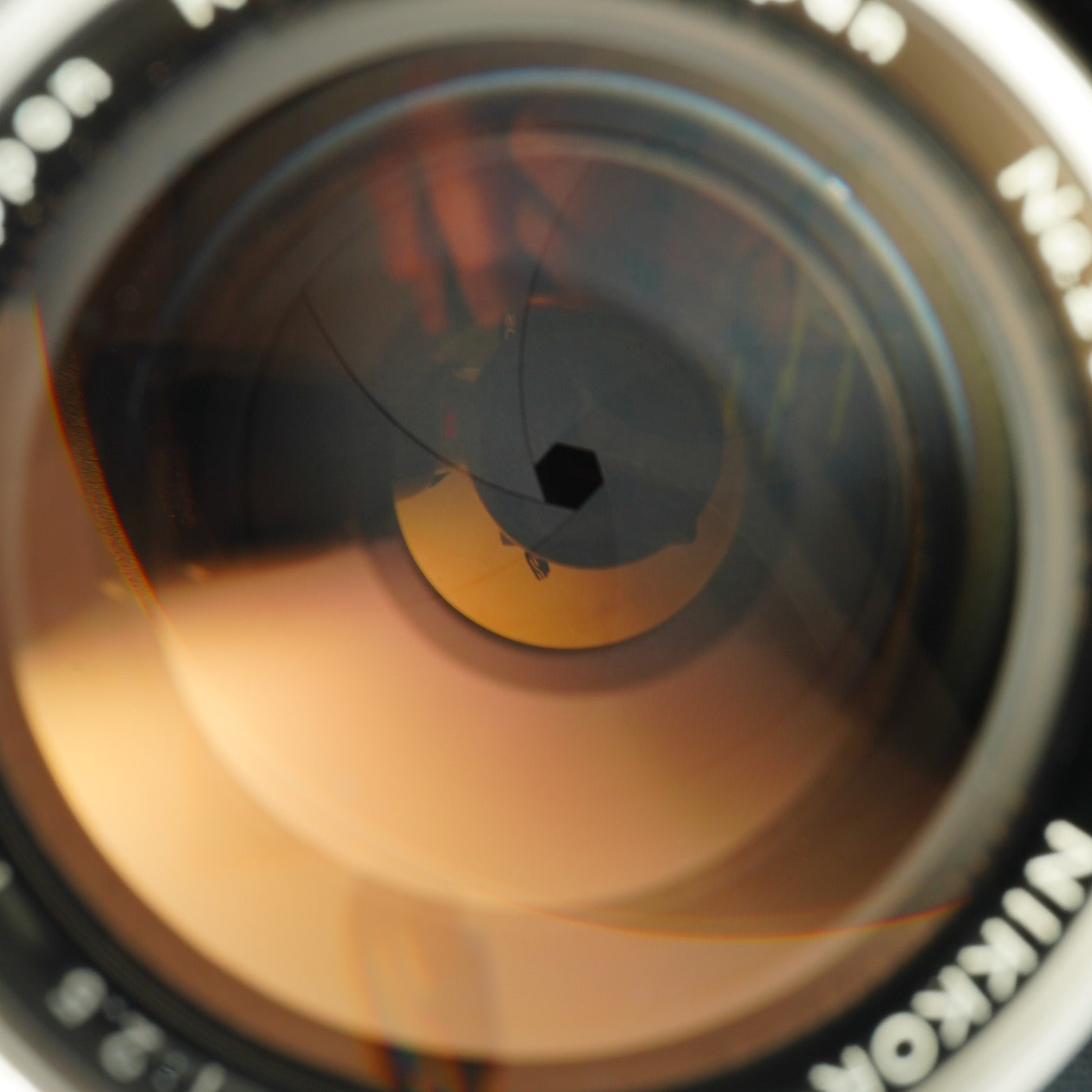 Nikon 非Ai NIKKOR-P Auto 105mm F/2.5 単焦点レンズ