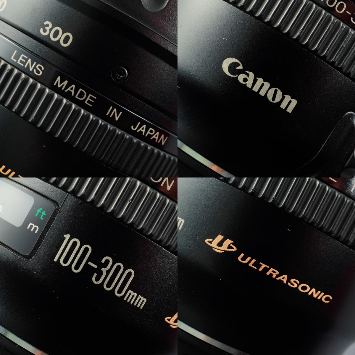 Canon EF 100-300mm F/4.5-5.6 USM ズームレンズ