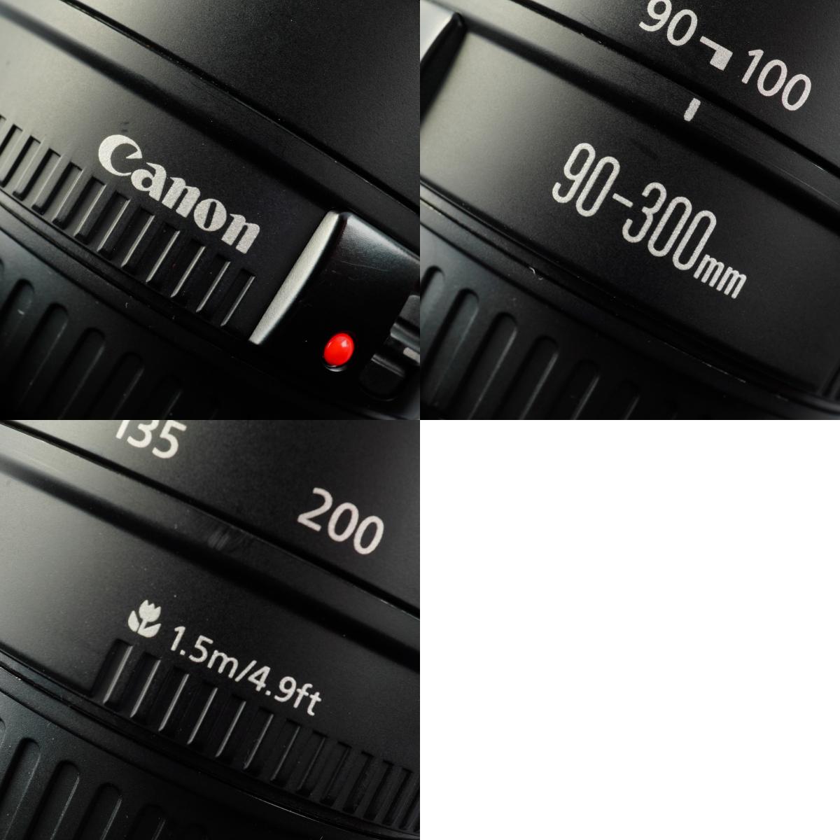 Canon EF 90-300mm F/4.5-5.6 ズームレンズ