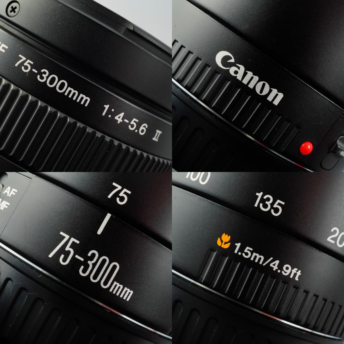 Canon EF 75-300mm F/4-5.6 Ⅱ ズームレンズ