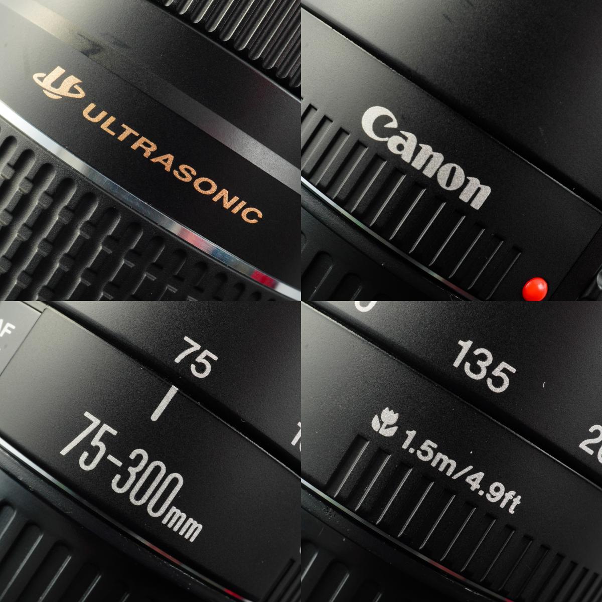 Canon EF 75-300mm F/4-5.6 Ⅲ ズームレンズ