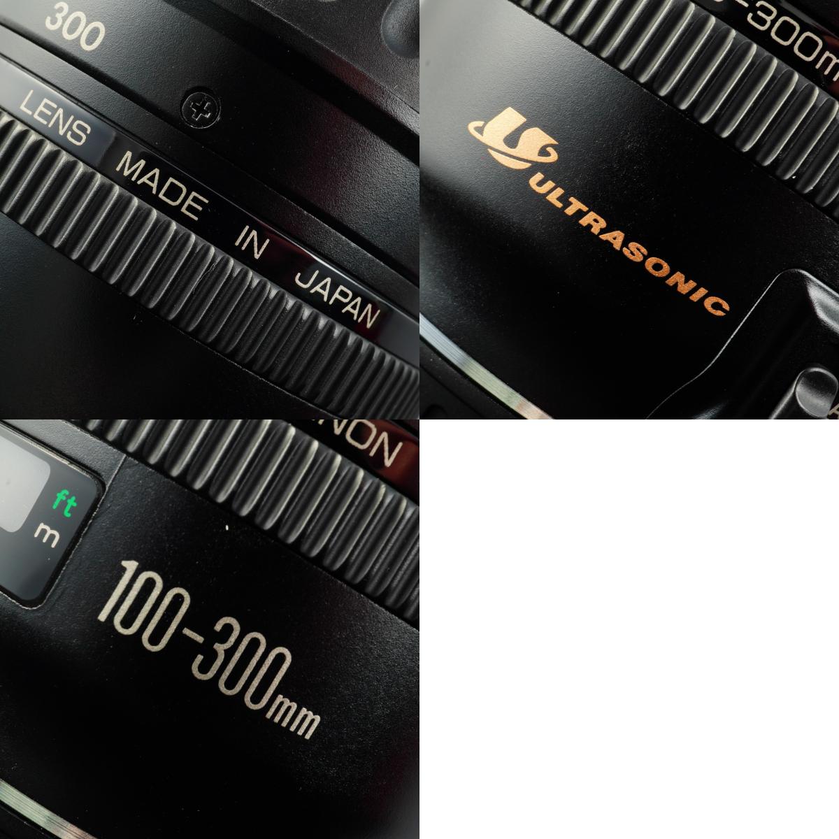 Canon EF 100-300mm F/4.5-5.6 USM ズームレンズ