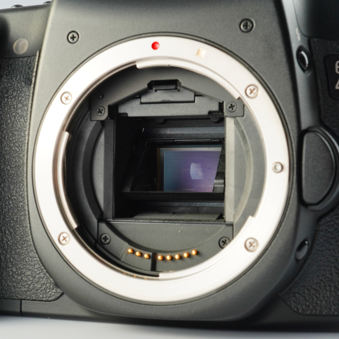 Canon EOS 40D + EF-S 18-55mm F/3.5-5.6 Ⅱ USM + CF 2GB デジタル一眼レフカメラ