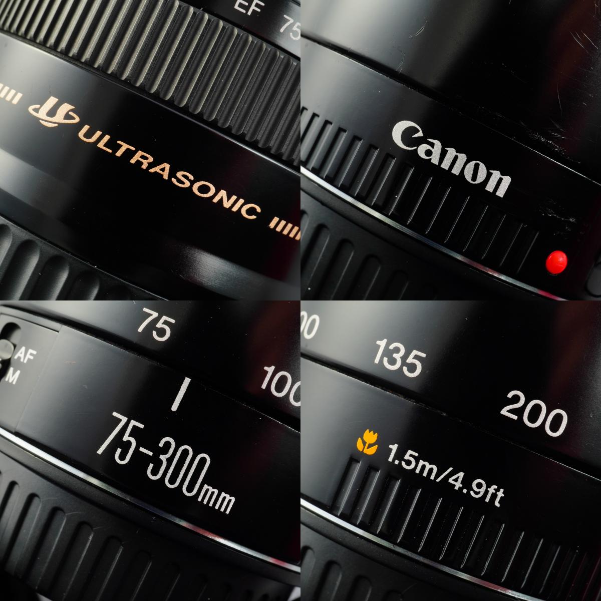 Canon EF 75-300mm F/4-5.6 USM ズームレンズ