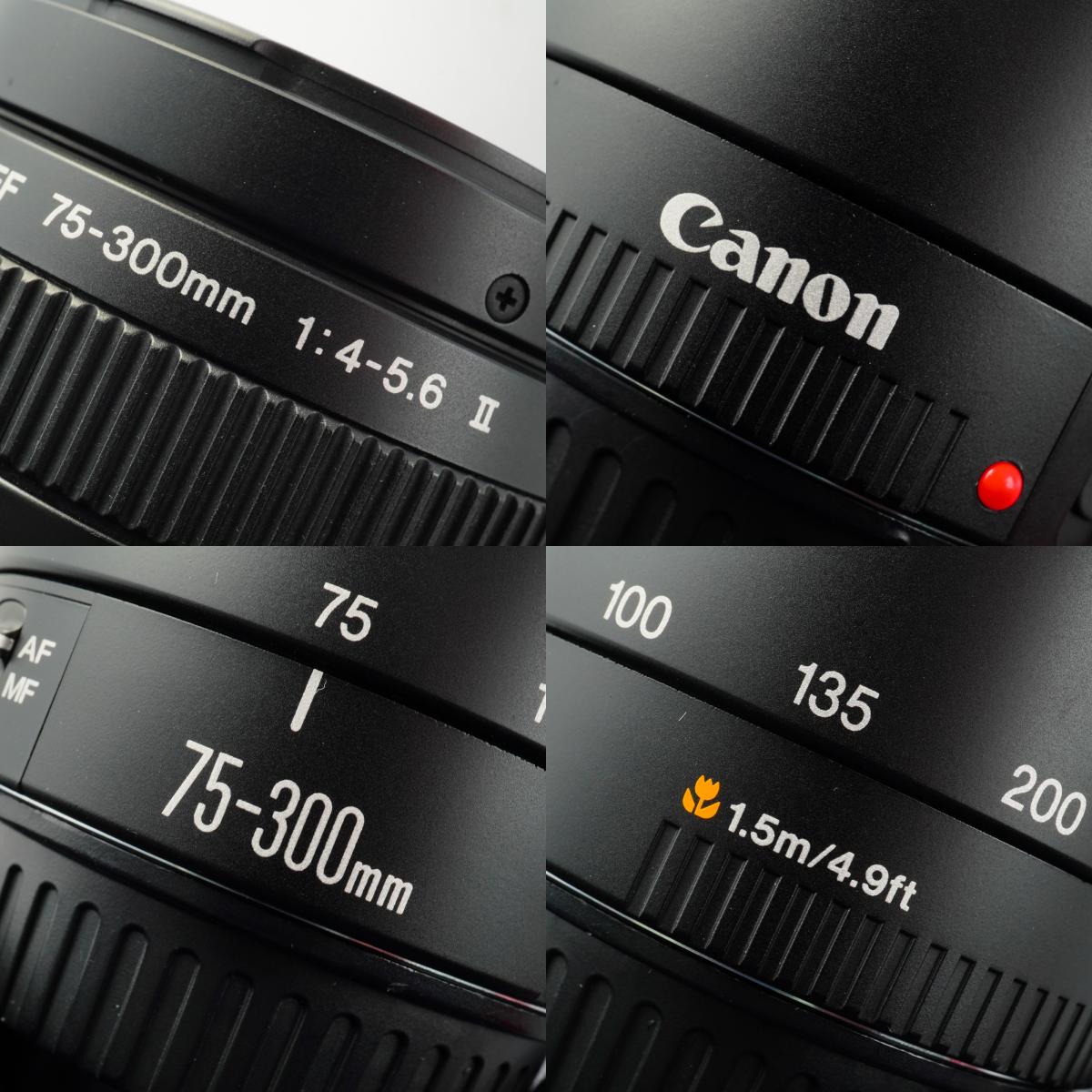 Canon EF 75-300mm F/4-5.6 Ⅱ ズームレンズ