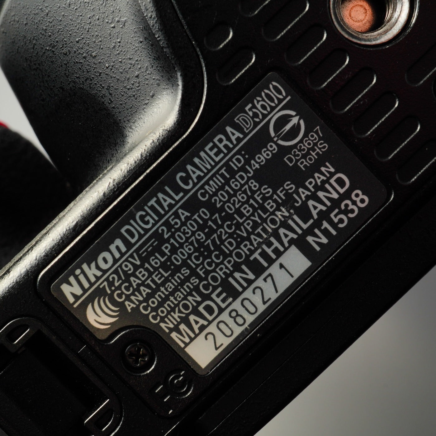 Nikon D5600 + AF-S DX NIKKOR 18-55mm F/3.5-5.6 GⅡ VR + SD 2GB MF フィルム一眼レフカメラ