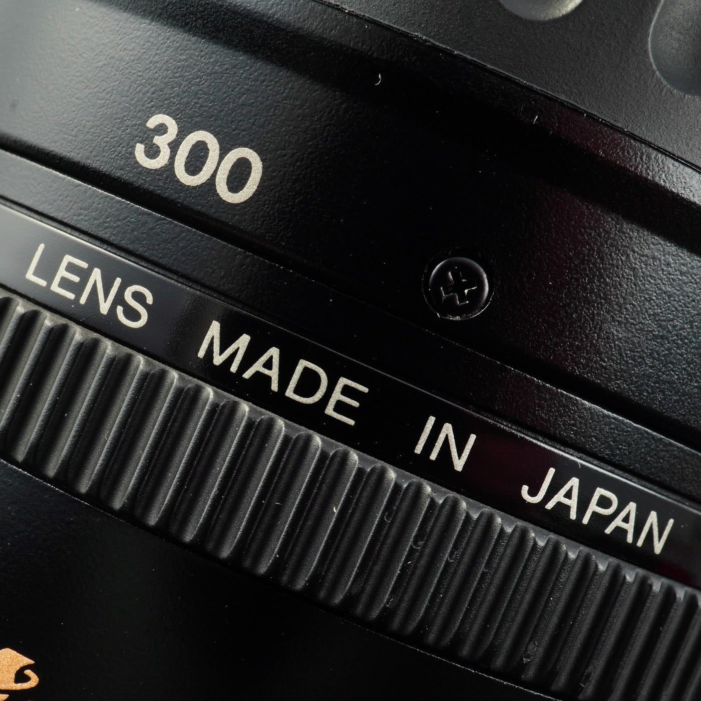 Canon EF 100-300mm F/4.5-5.6 USM ズームレンズ