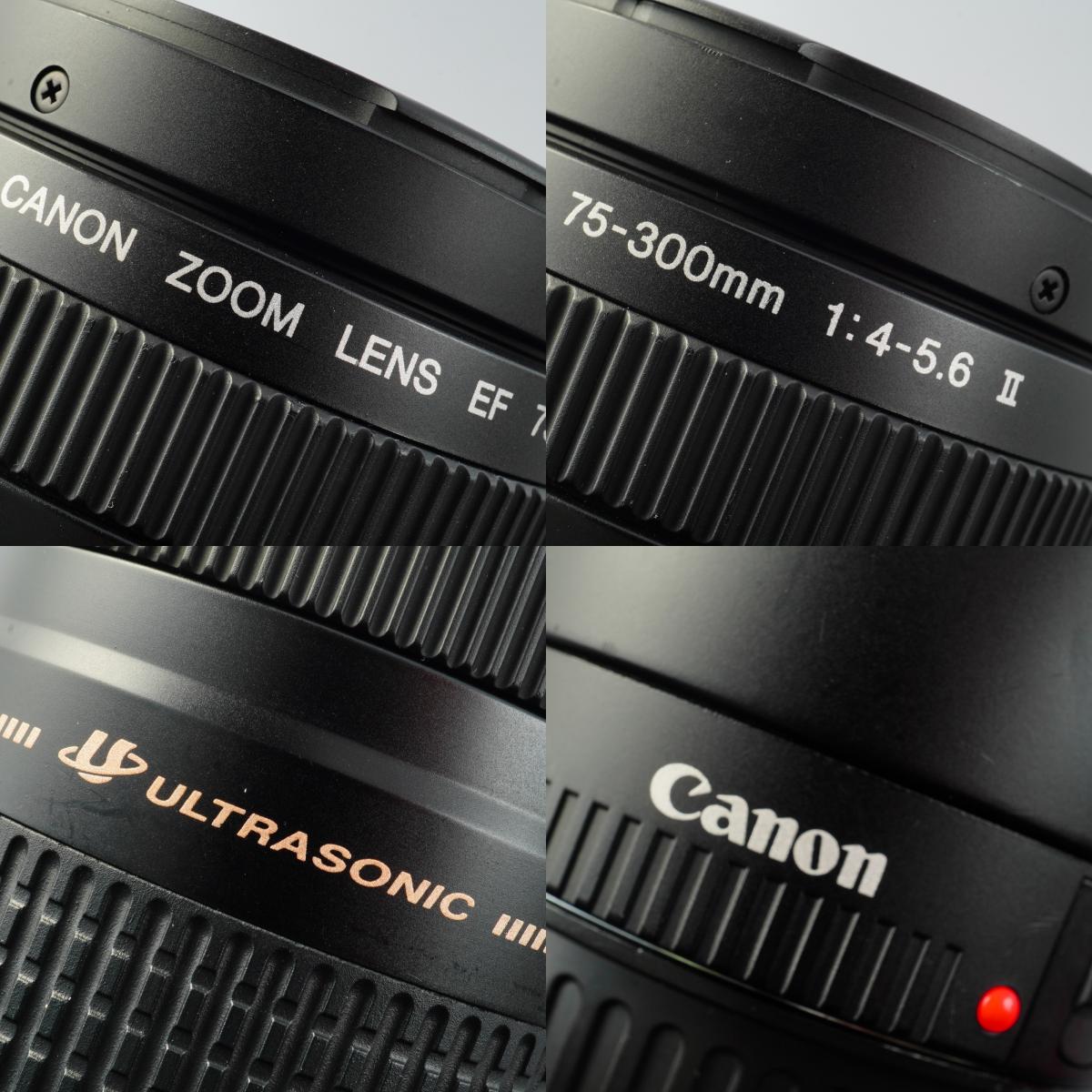 Canon EF 75-300mm F/4-5.6 Ⅱ USM ズームレンズ