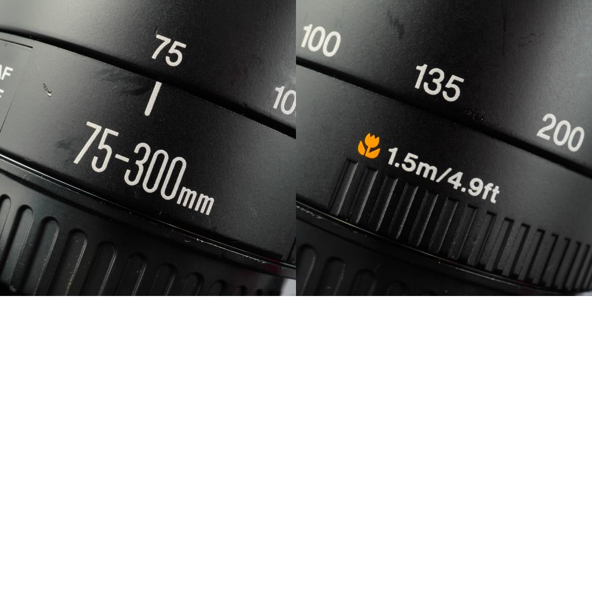 Canon EF 75-300mm F/4-5.6 Ⅱ USM ズームレンズ