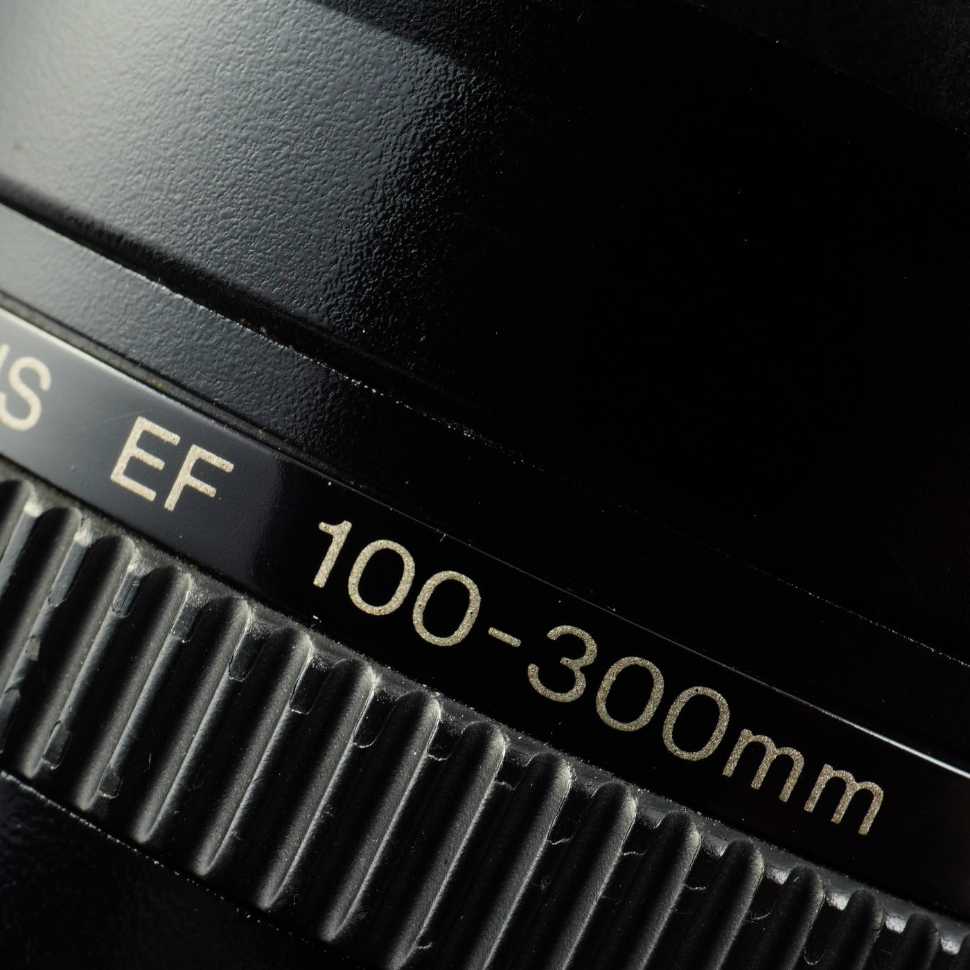 Canon EF 100-300mm F/4.5-5.6 USM ズームレンズ