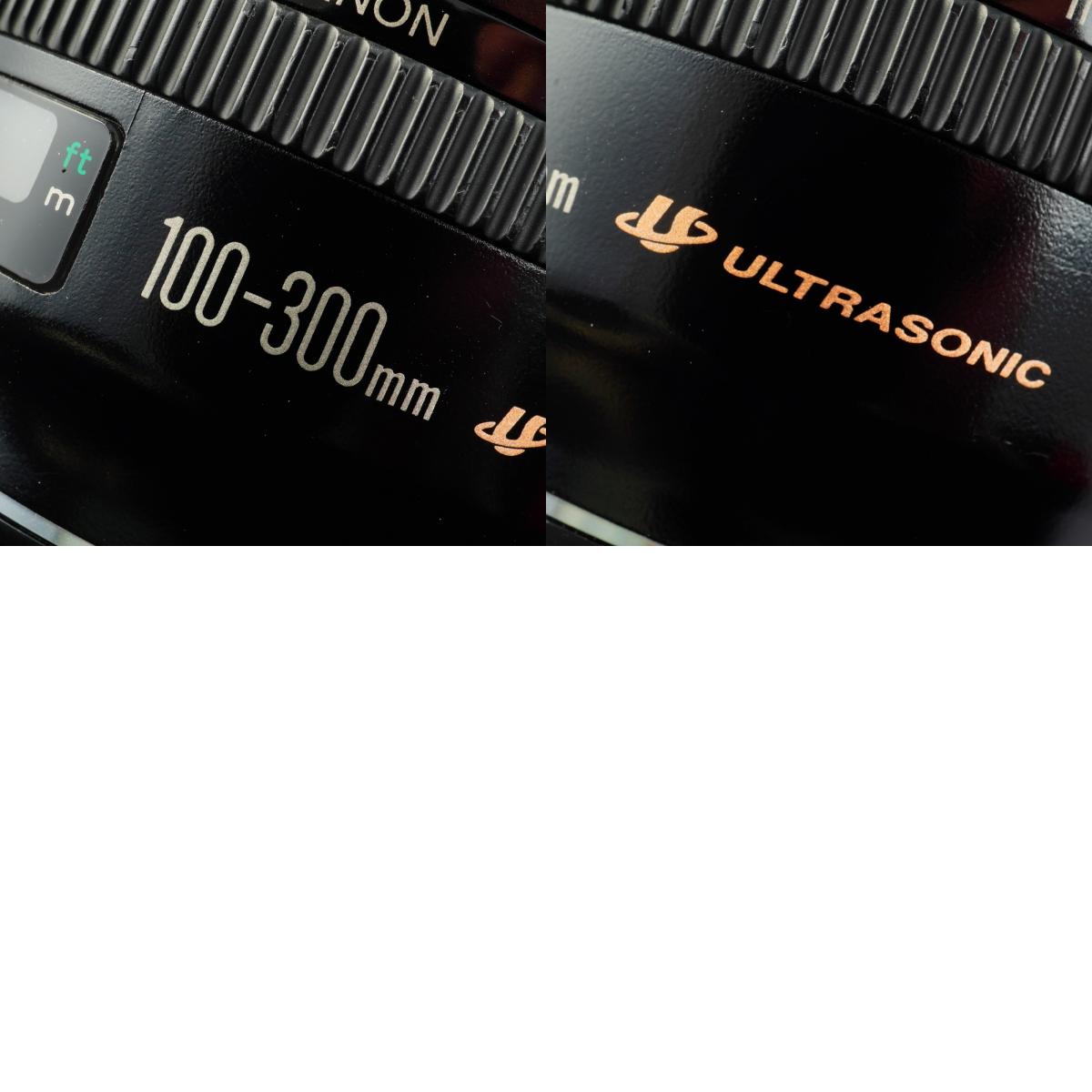 Canon EF 100-300mm F/4.5-5.6 USM ズームレンズ