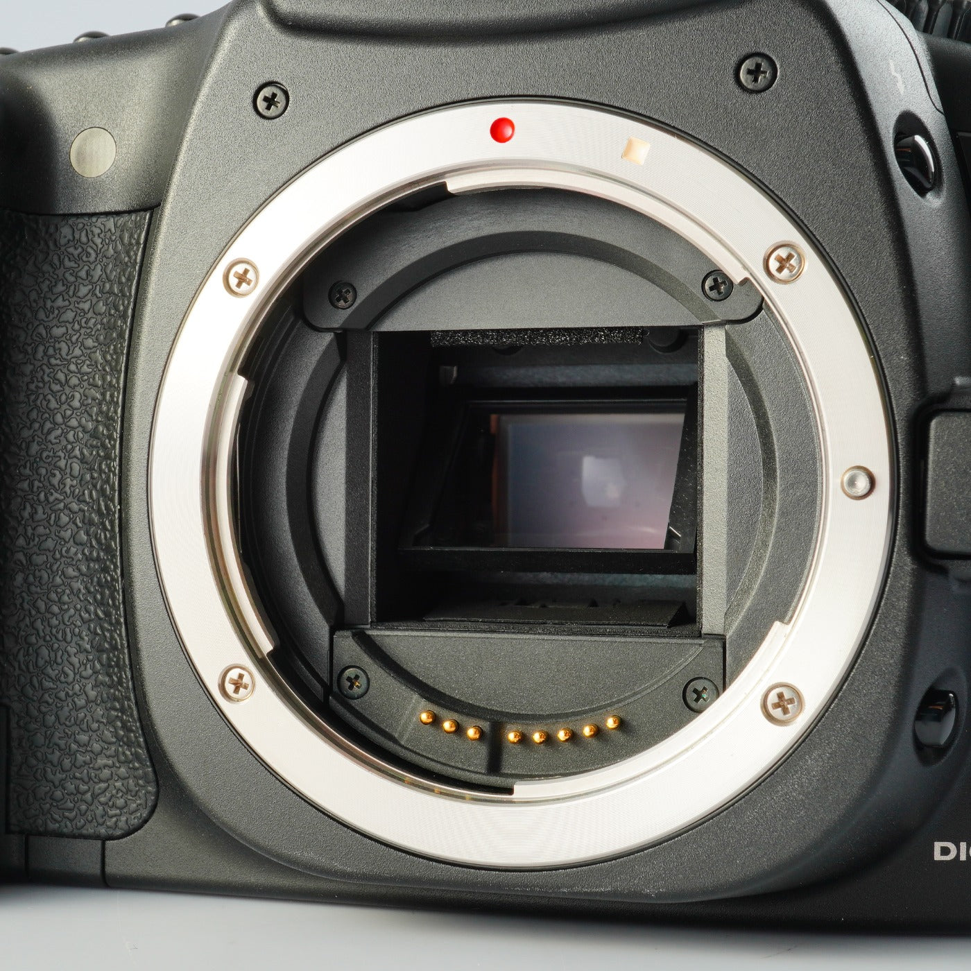 Canon EOS 20D + EF-S 18-55mm F/3.5-5.6Ⅱ USM + CF 2GB デジタル一眼レフカメラ