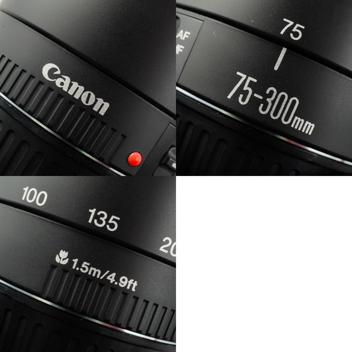 Canon EF 75-300mm F/4-5.6 Ⅲ ズームレンズ