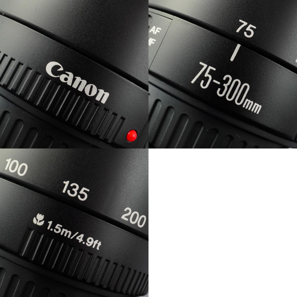 Canon EF 75-300mm F/4-5.6 Ⅲ ズームレンズ