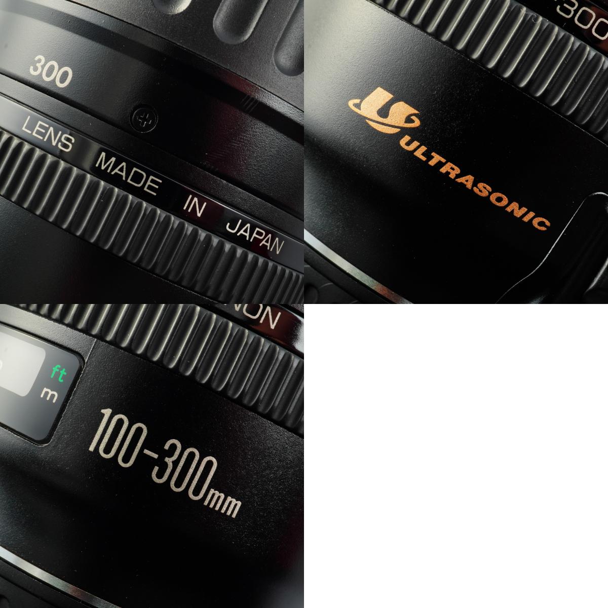 Canon EF 100-300mm F/4.5-5.6 USM ズームレンズ