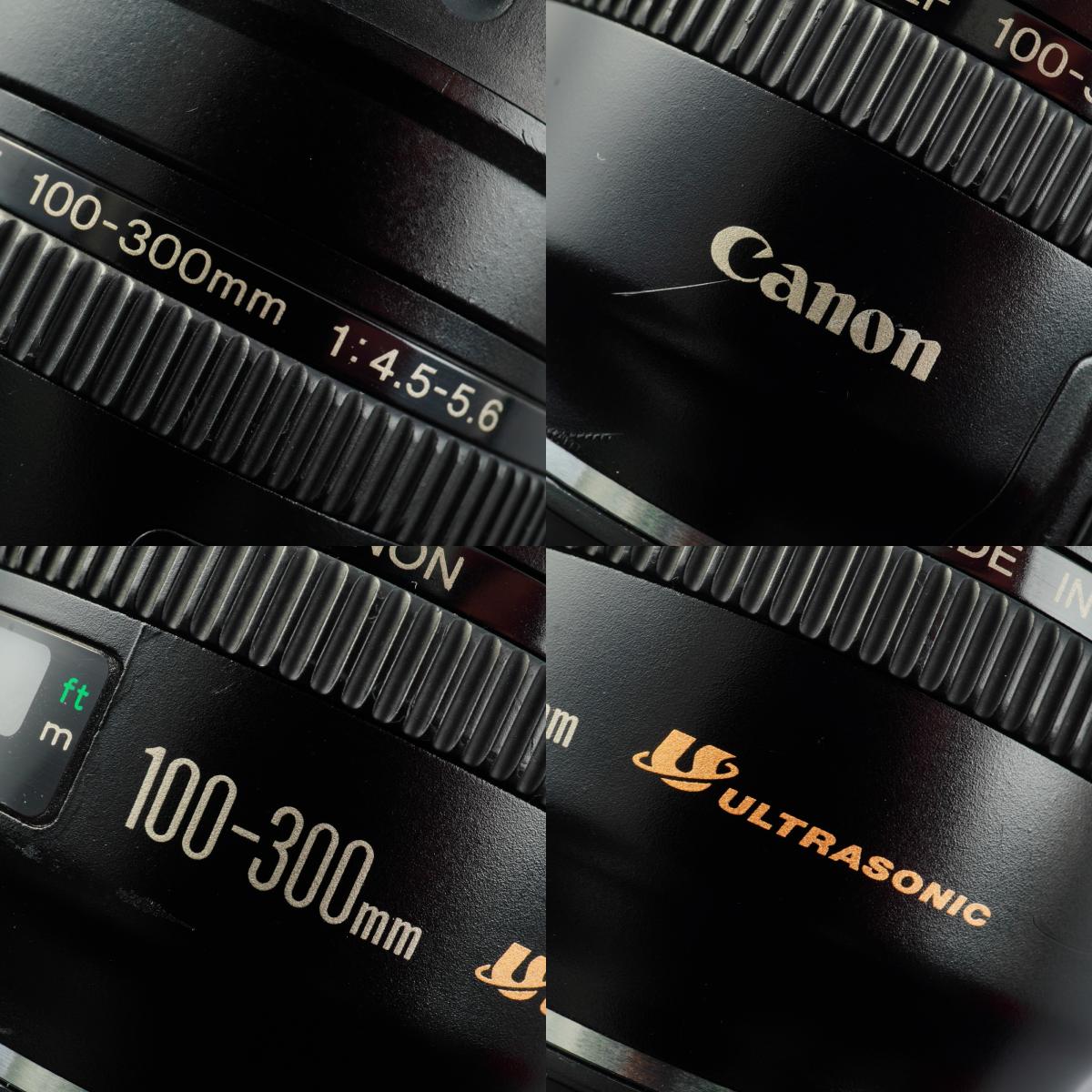 Canon EF 100-300mm F/4.5-5.6 USM ズームレンズ