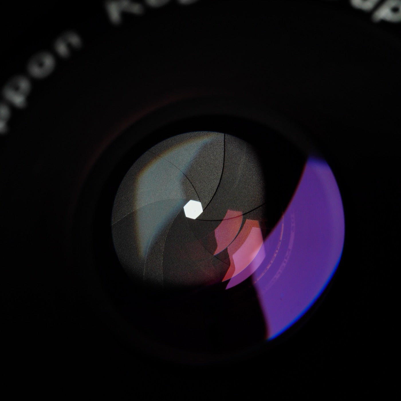 Nikon Ai改 Micro-NIKKOR-P Auto 55mm F/3.5 マクロレンズ