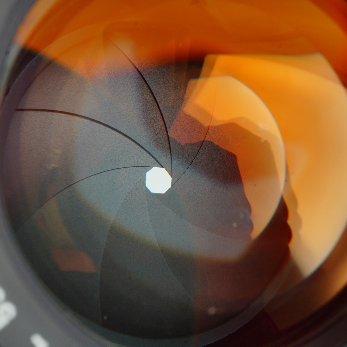 Canon FL 55mm F/1.2 単焦点レンズ