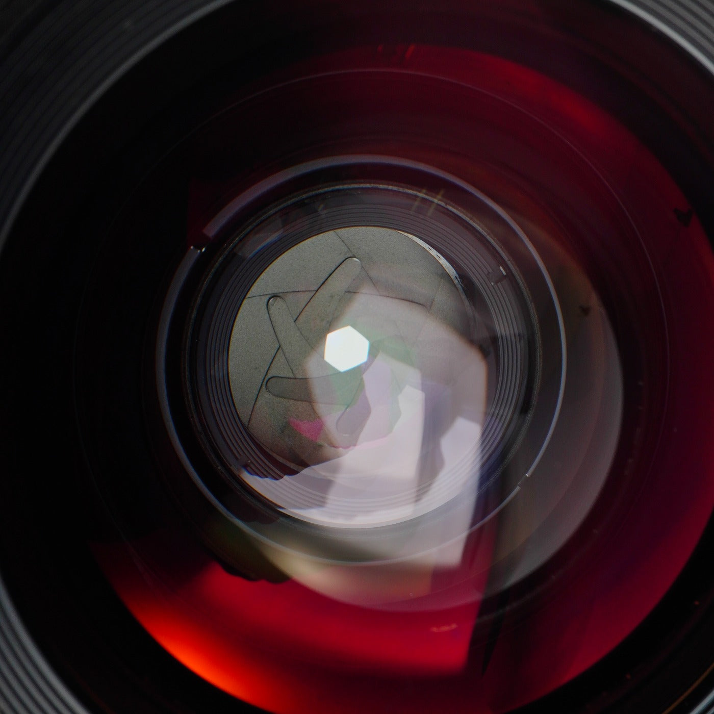 Mamiya SEKOR C 45mm F/2.8 N 単焦点レンズ