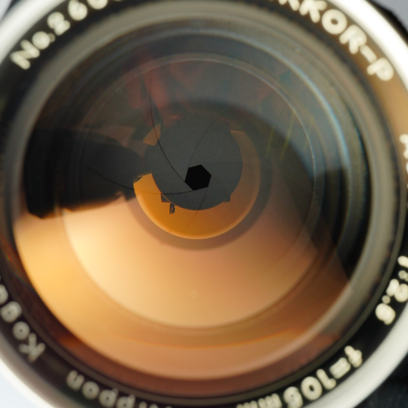 Nikon 非Ai NIKKOR-P Auto 105mm F/2.5 単焦点レンズ