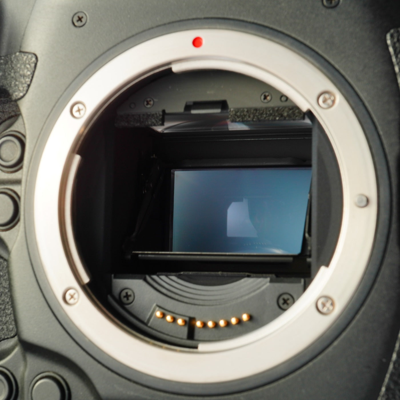 Canon EOS 1D X Mark Ⅲ コンパクトデジタルカメラ