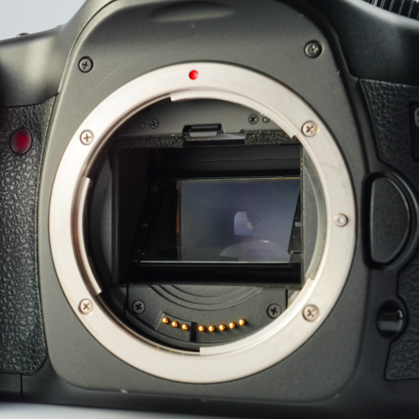 Canon EOS 5D + EF 28-80mm F/3.5-5.6 Ⅴ USM + CF 2GB デジタル一眼レフカメラ