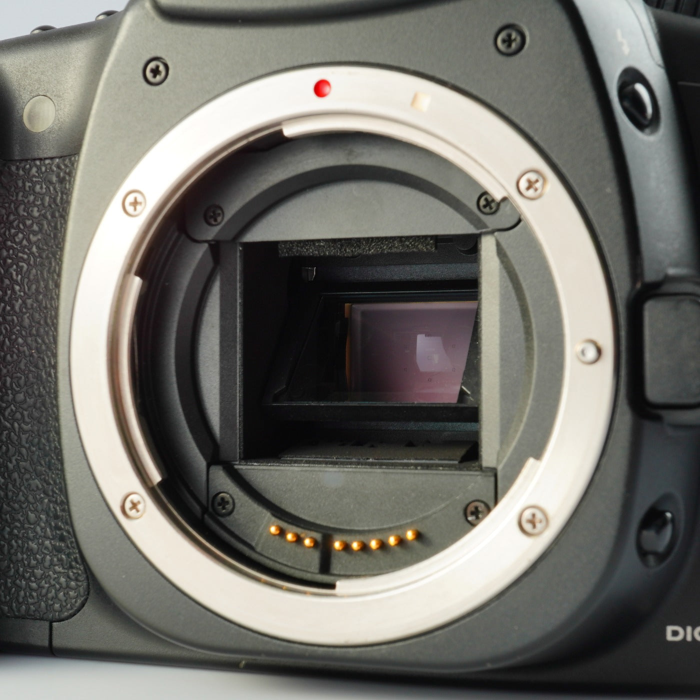 Canon EOS 20D + EF-S 18-55mm F/3.5-5.6Ⅱ USM + CF 2GB デジタル一眼レフカメラ