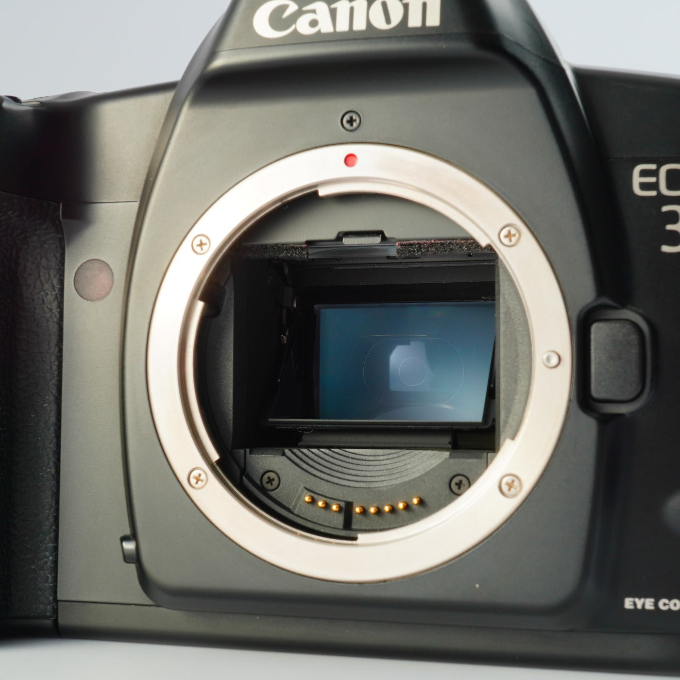 Canon EOS 3 AF フィルム一眼レフカメラ