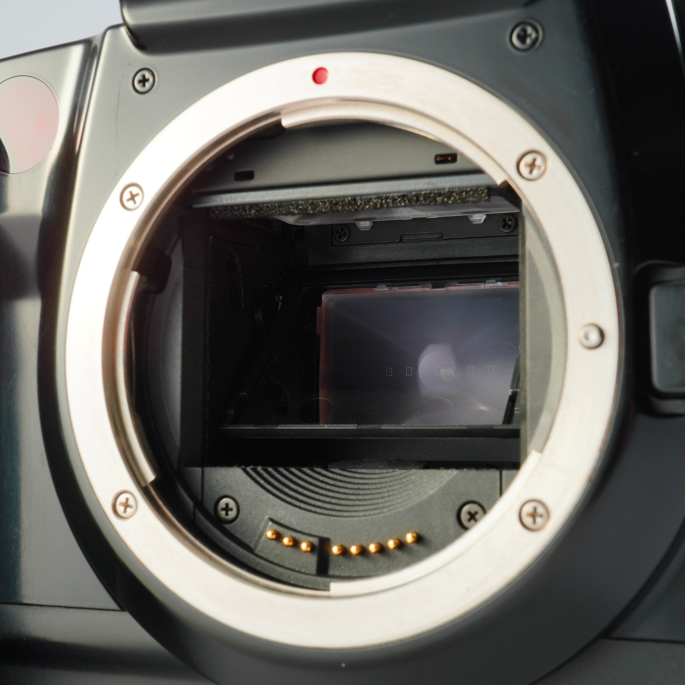 Canon EOS 5 QD + EF 28-80mm F/3.5-5.6 Ⅳ AF フィルム一眼レフカメラ