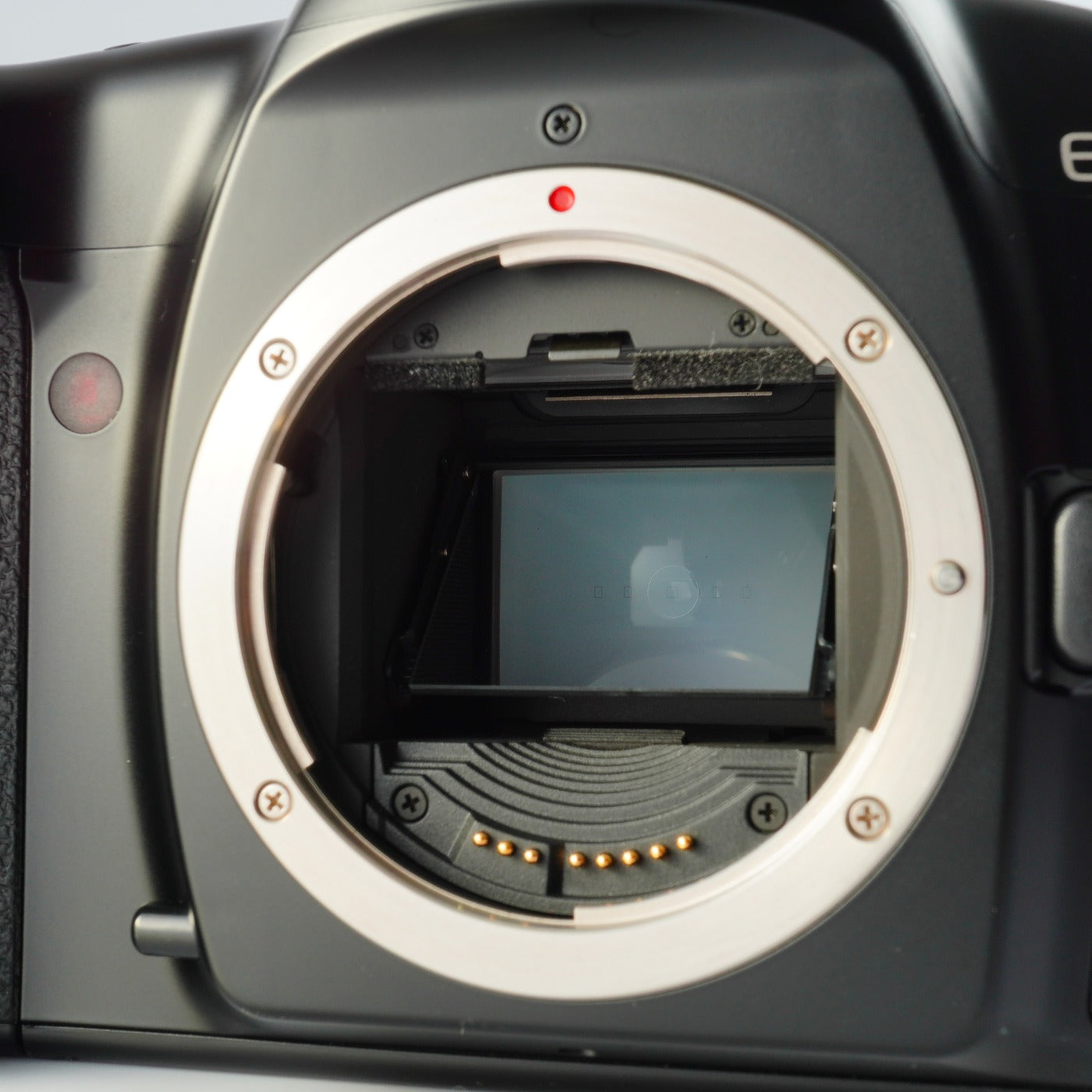 Canon EOS 1N AF フィルム一眼レフカメラ